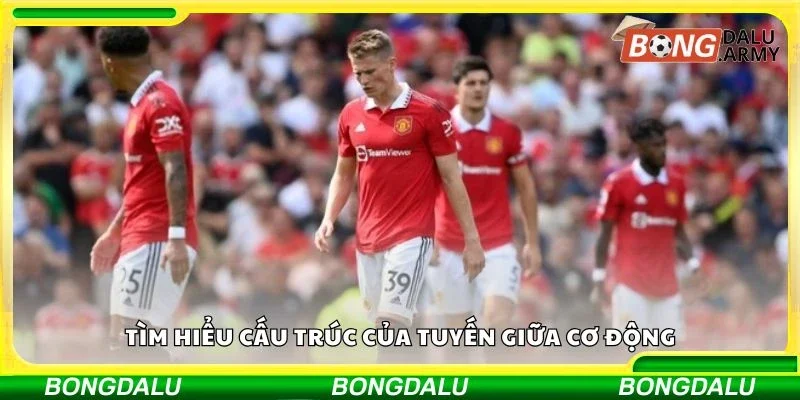 Tìm hiểu cấu trúc của tuyến giữa cơ động