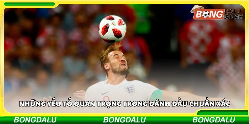 Yếu tố quan trọng trong đánh đầu chuẩn xác