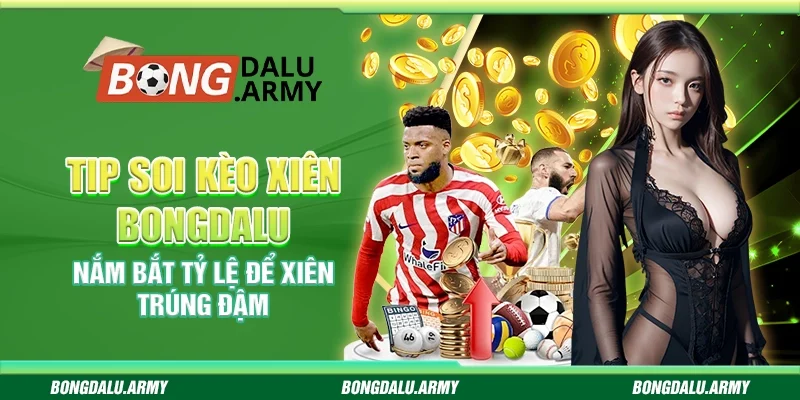 Tip soi kèo xiên Bongdalu - Nắm bắt tỷ lệ để xiên trúng đậm