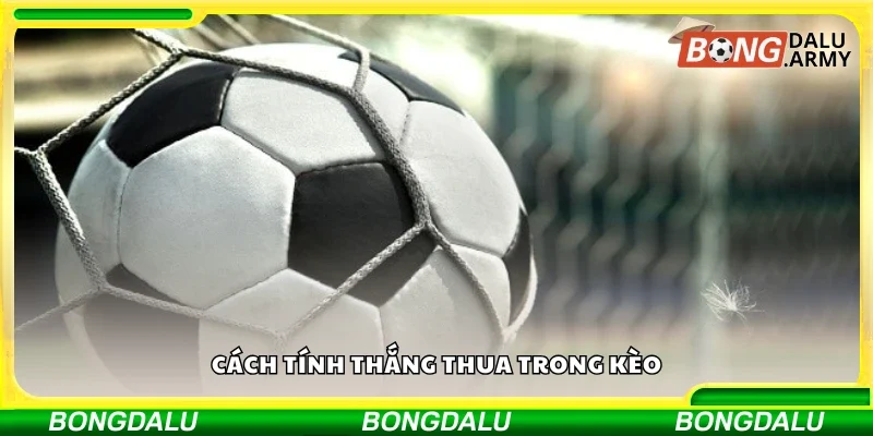 Chi tiết cách tính thắng thua trong kèo