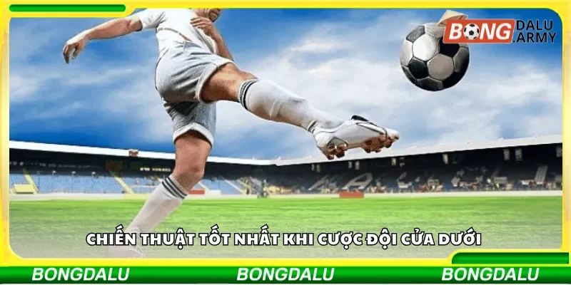 Chiến thuật tốt nhất khi cược đội cửa dưới 
