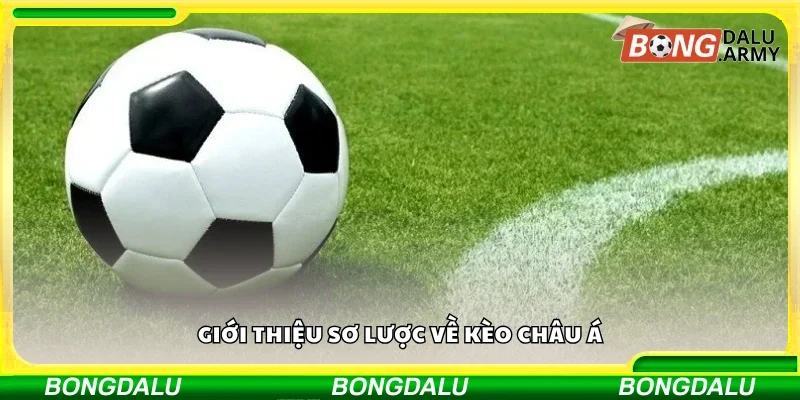 Giới thiệu sơ lược về kèo châu Á