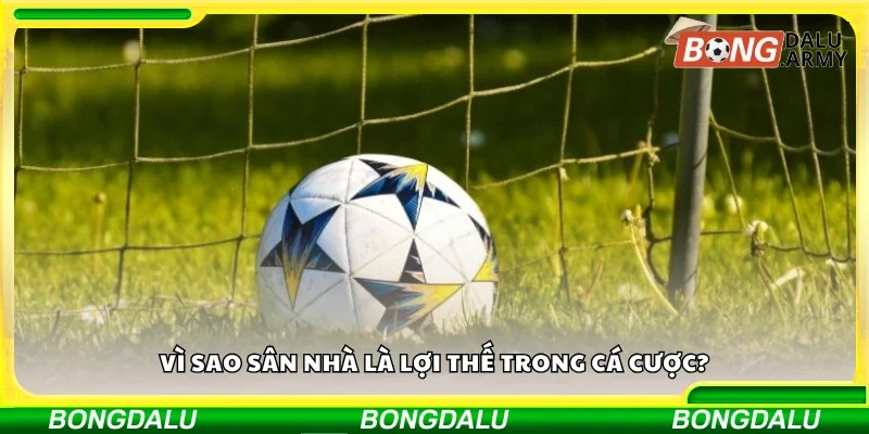 Lý do sân nhà là lợi thế trong cá cược