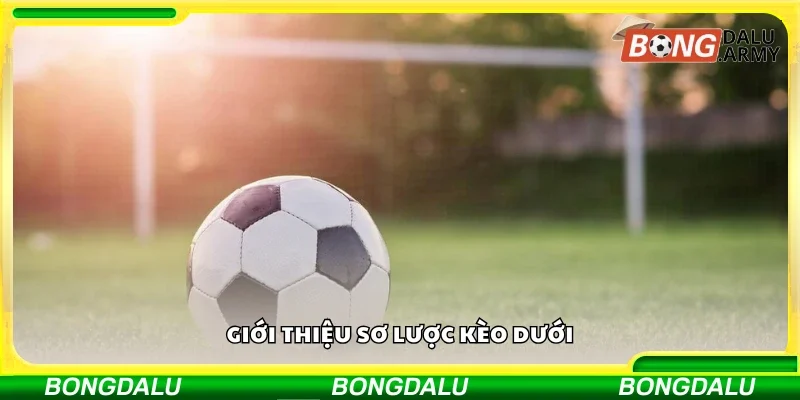Tìm hiểu sơ lược kèo dưới